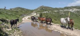 http://www.garmenhills.com/c/bg/otkriyte-regiona/nashite-ekskurzii/